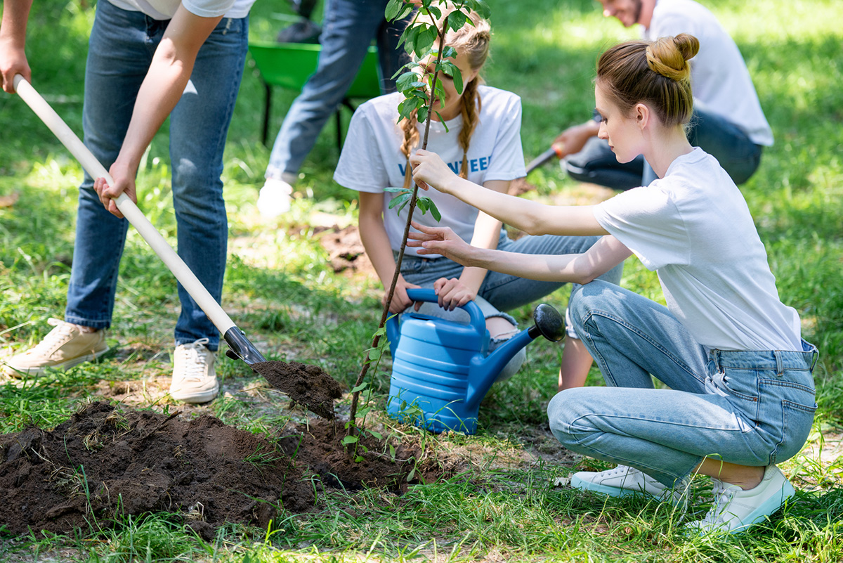 Фото: nus.org.ua